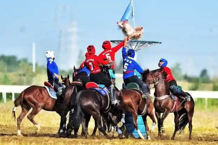 赛季中期观赛体验榜单：直播画质、数据同步与社区互动的取舍